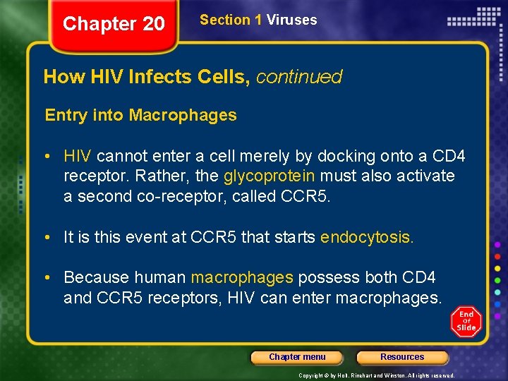 Chapter 20 Section 1 Viruses How HIV Infects Cells, continued Entry into Macrophages •