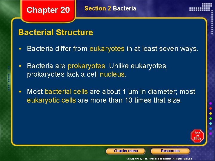 Chapter 20 Section 2 Bacterial Structure • Bacteria differ from eukaryotes in at least