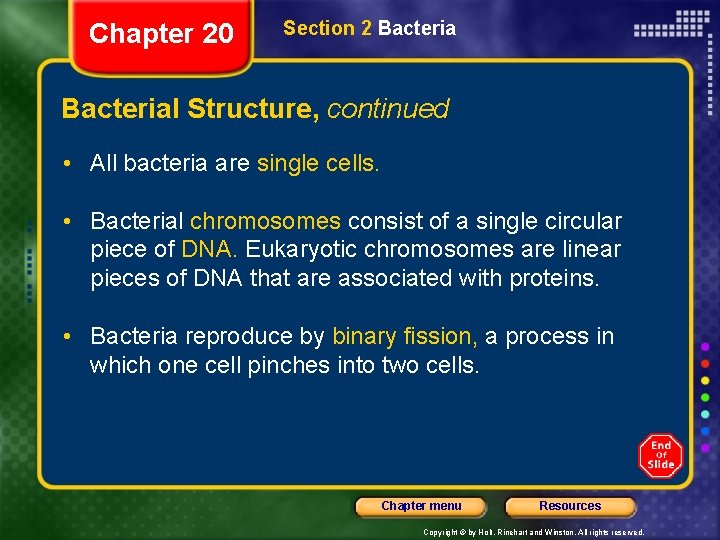 Chapter 20 Section 2 Bacterial Structure, continued • All bacteria are single cells. •