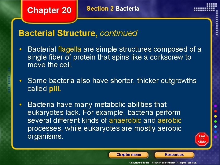 Chapter 20 Section 2 Bacterial Structure, continued • Bacterial flagella are simple structures composed