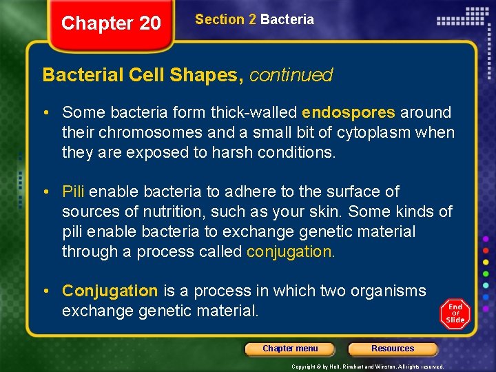 Chapter 20 Section 2 Bacterial Cell Shapes, continued • Some bacteria form thick-walled endospores