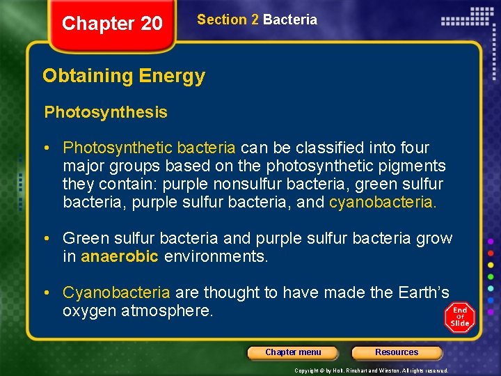 Chapter 20 Section 2 Bacteria Obtaining Energy Photosynthesis • Photosynthetic bacteria can be classified