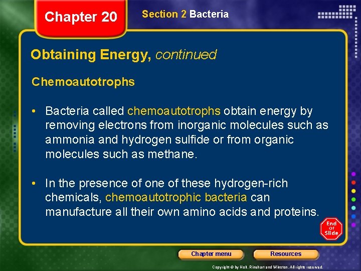 Chapter 20 Section 2 Bacteria Obtaining Energy, continued Chemoautotrophs • Bacteria called chemoautotrophs obtain