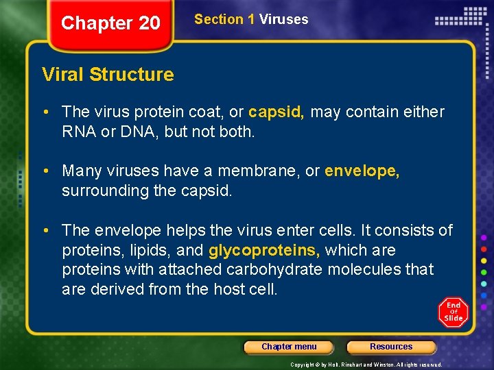 Chapter 20 Section 1 Viruses Viral Structure • The virus protein coat, or capsid,