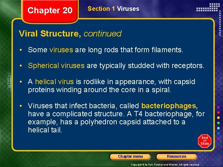 Chapter 20 Section 1 Viruses Viral Structure, continued • Some viruses are long rods