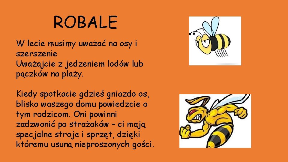 ROBALE W lecie musimy uważać na osy i szerszenie Uważajcie z jedzeniem lodów lub