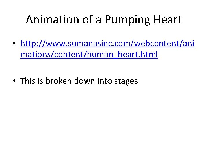 Animation of a Pumping Heart • http: //www. sumanasinc. com/webcontent/ani mations/content/human_heart. html • This