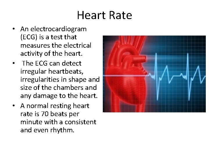 Heart Rate • An electrocardiogram (ECG) is a test that measures the electrical activity