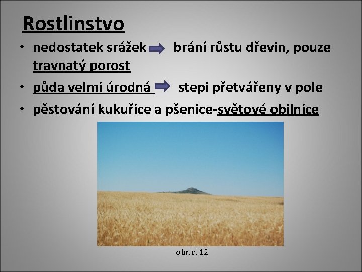 Rostlinstvo • nedostatek srážek brání růstu dřevin, pouze travnatý porost • půda velmi úrodná