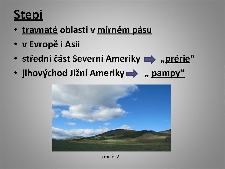 Stepi • • travnaté oblasti v mírném pásu v Evropě i Asii střední část