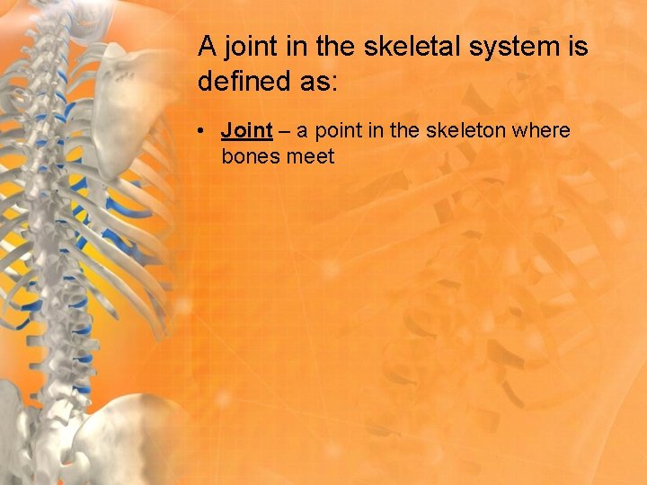 A joint in the skeletal system is defined as: • Joint – a point