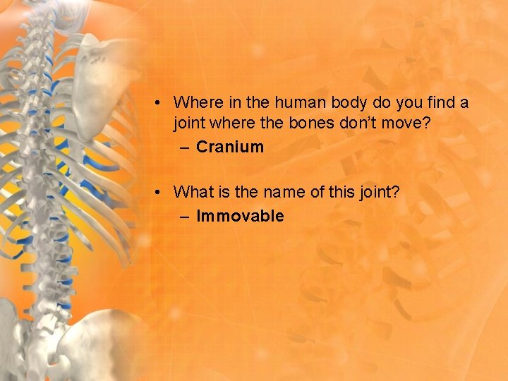  • Where in the human body do you find a joint where the