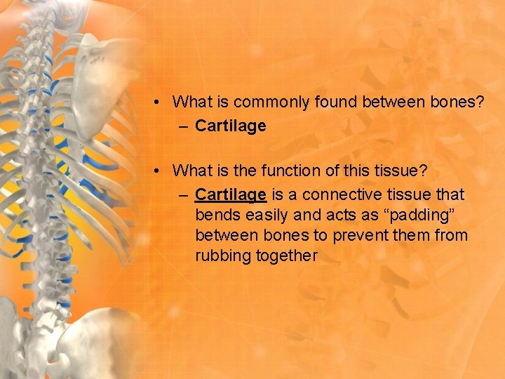  • What is commonly found between bones? – Cartilage • What is the