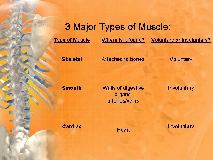 3 Major Types of Muscle: Type of Muscle Where is it found? Voluntary or