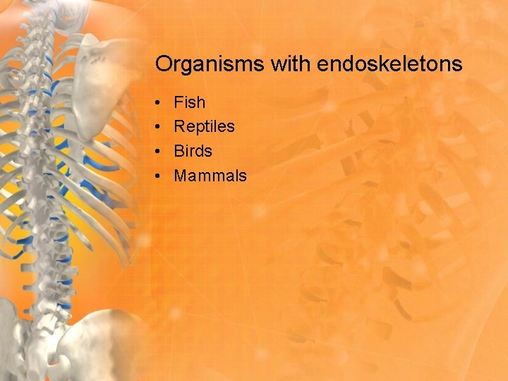 Organisms with endoskeletons • • Fish Reptiles Birds Mammals 