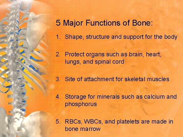 5 Major Functions of Bone: 1. Shape, structure and support for the body 2.