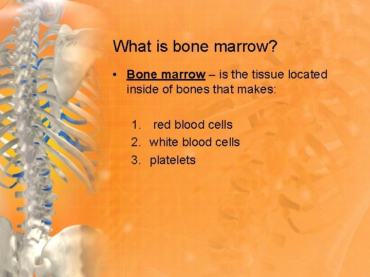 What is bone marrow? • Bone marrow – is the tissue located inside of