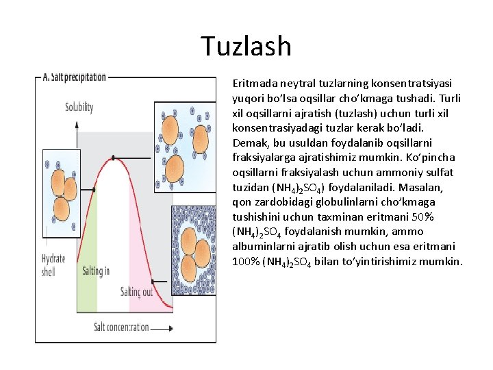 Tuzlаsh Eritmаdа nеytrаl tuzlаrning kоnsеntrаtsiyasi yuqоri bo’lsа оqsillаr cho’kmаgа tushаdi. Turli xil оqsillаrni аjrаtish