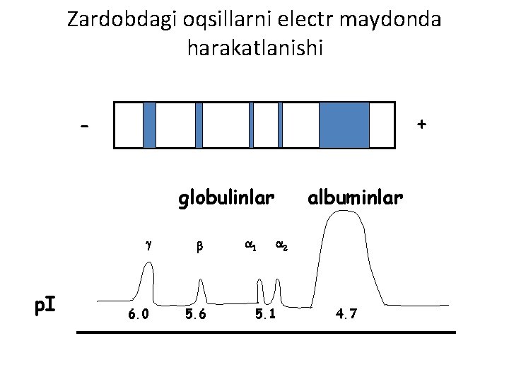 Zardobdagi oqsillarni electr maydonda harakatlanishi + globulinlar p. I g b 6. 0 5.