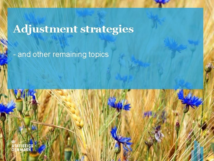 Adjustment strategies - and other remaining topics 