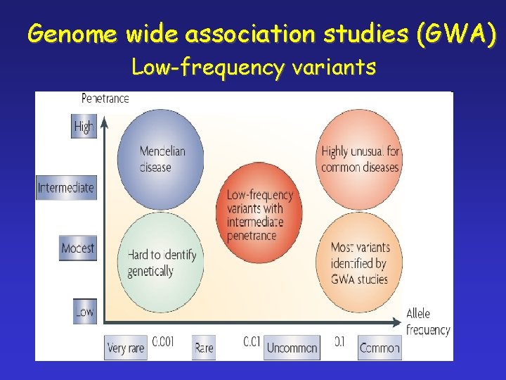 Genome wide association studies (GWA) Low-frequency variants 