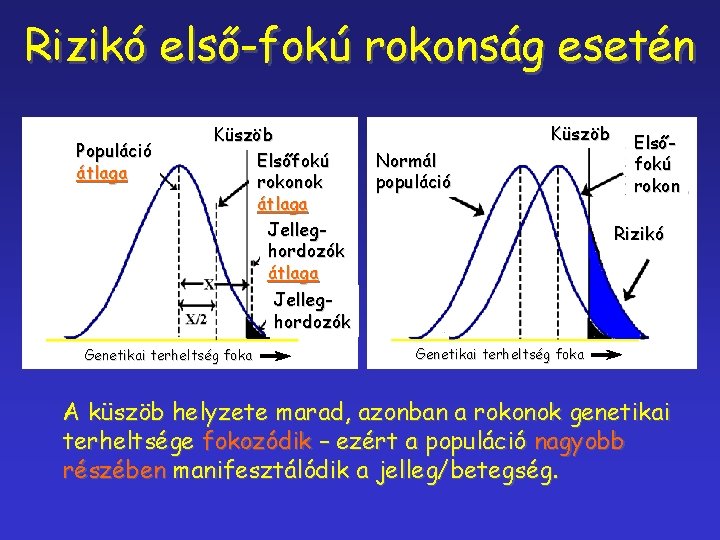 Rizikó első-fokú rokonság esetén Populáció átlaga Küszöb Elsőfokú rokonok átlaga Jelleghordozók Genetikai terheltség foka