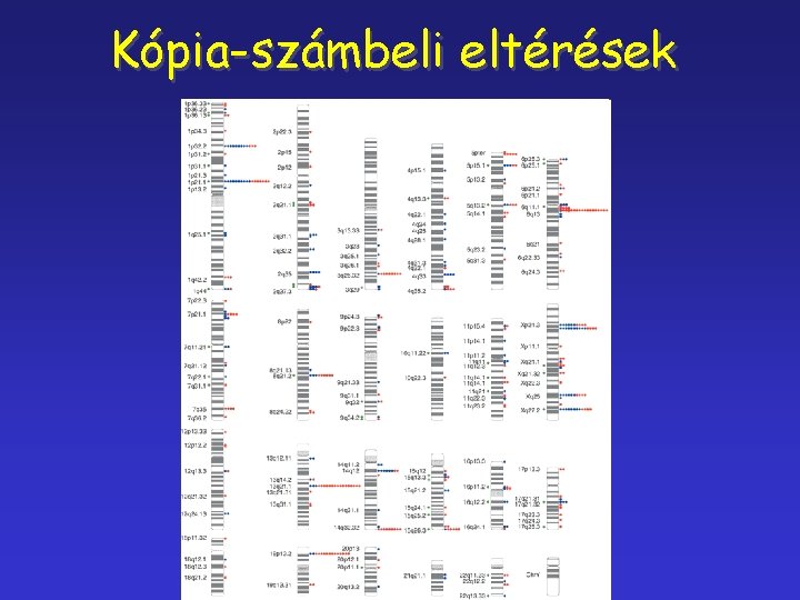 Kópia-számbeli eltérések 