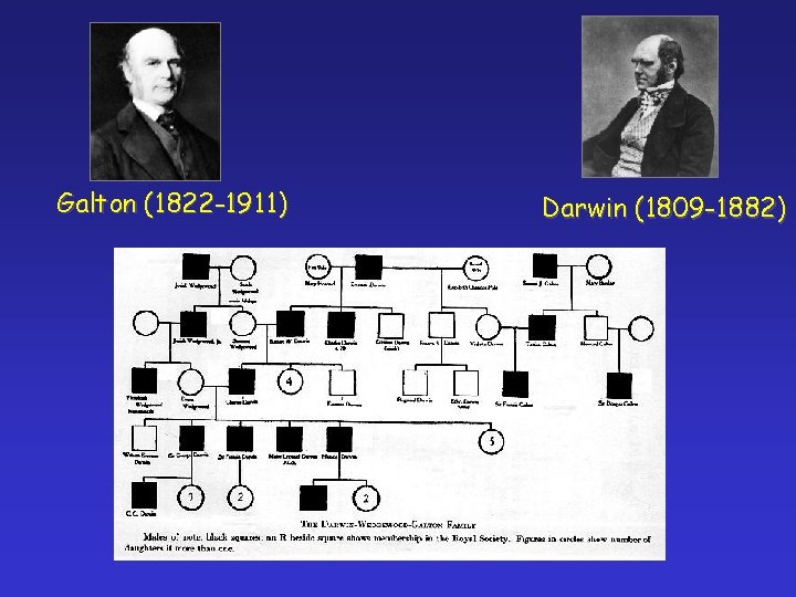 Galton (1822 -1911) Darwin (1809 -1882) 