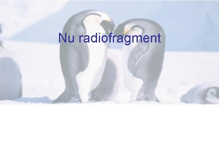 Nu radiofragment 
