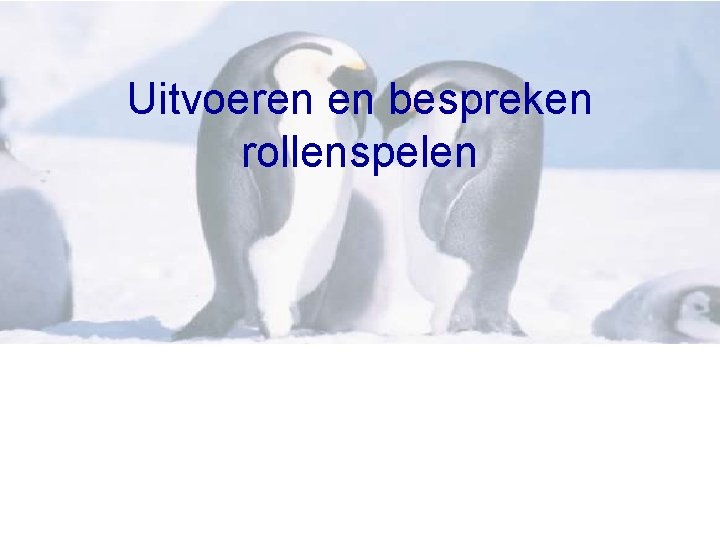 Uitvoeren en bespreken rollenspelen 