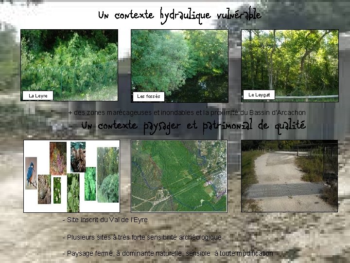 Un contexte hydraulique vulnérable La Leyre Les fossés Le Leygat + des zones marécageuses
