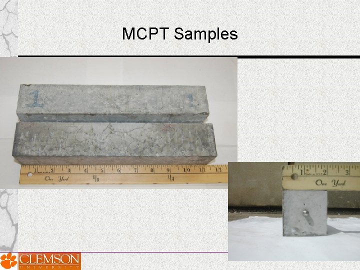 MCPT Samples 10/38 