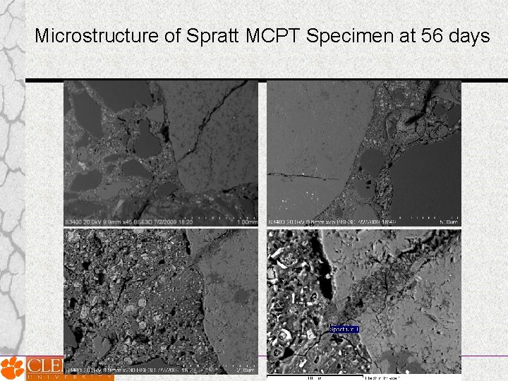 Microstructure of Spratt MCPT Specimen at 56 days 
