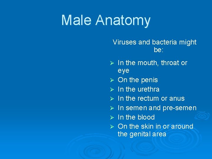 Male Anatomy Viruses and bacteria might be: Ø Ø Ø Ø In the mouth,