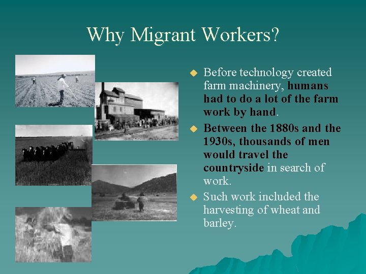 Why Migrant Workers? u u u Before technology created farm machinery, humans had to