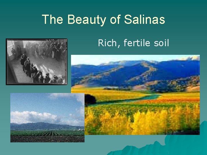 The Beauty of Salinas u Rich, fertile soil 