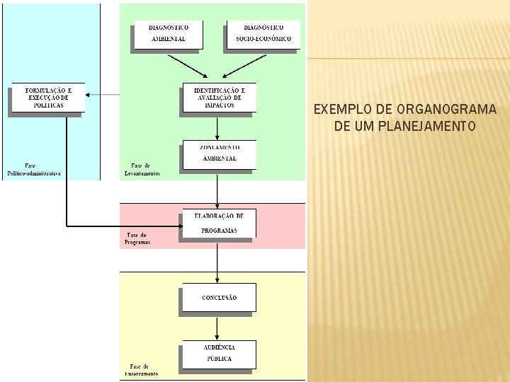 EXEMPLO DE ORGANOGRAMA DE UM PLANEJAMENTO 