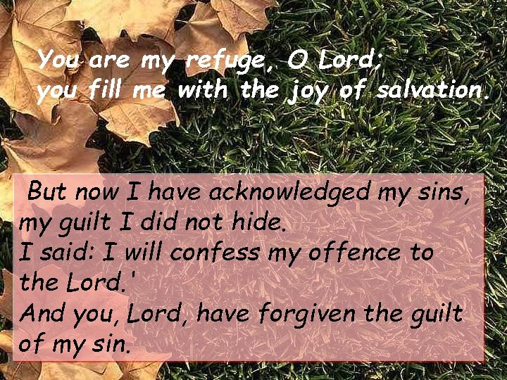 You are my refuge, O Lord; you fill me with the joy of salvation.