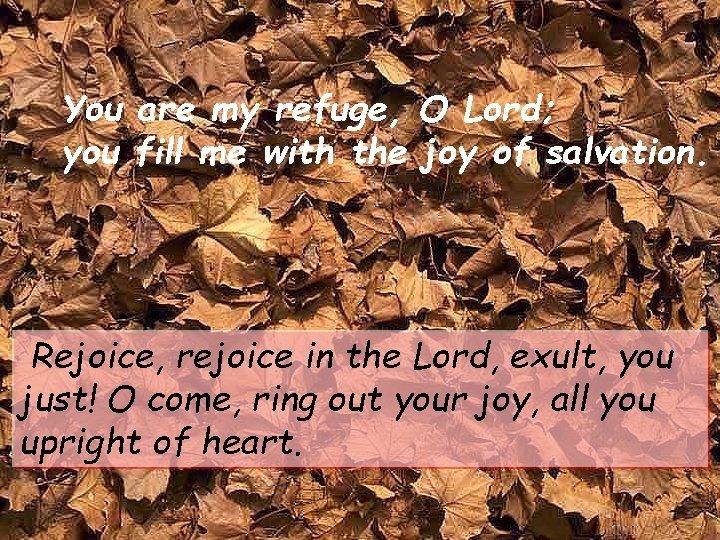 You are my refuge, O Lord; you fill me with the joy of salvation.