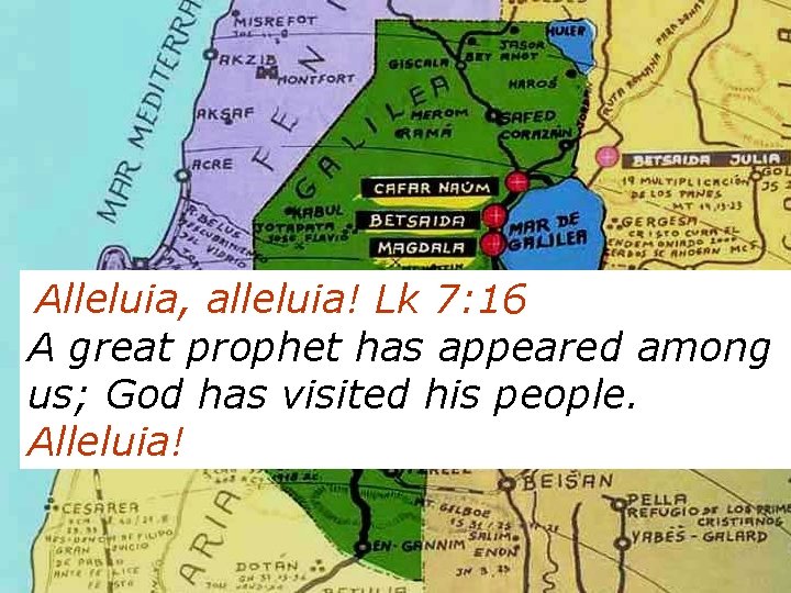 Alleluia, alleluia! Lk 7: 16 A great prophet has appeared among us; God has