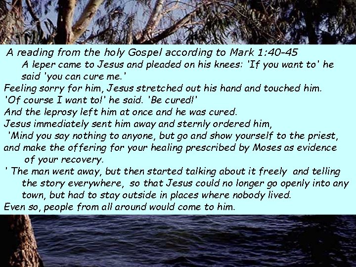A reading from the holy Gospel according to Mark 1: 40 -45 A leper