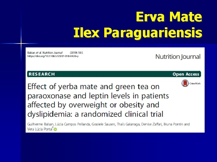 Erva Mate Ilex Paraguariensis 