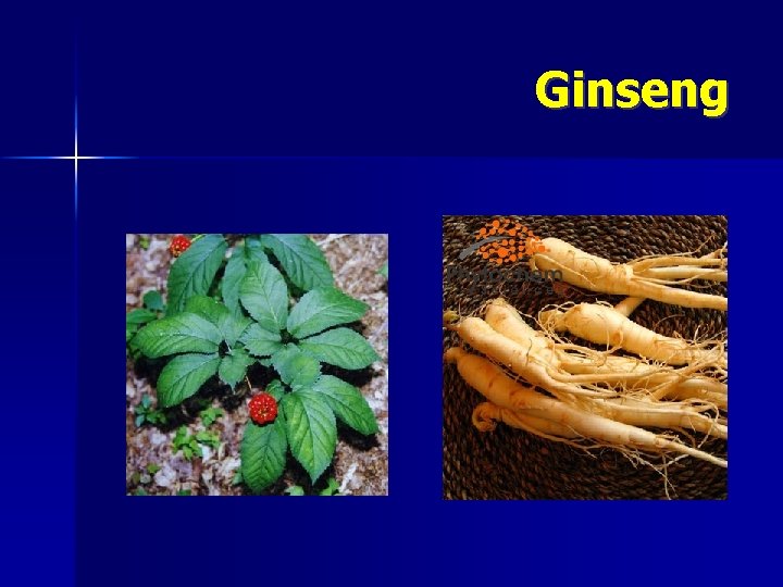 Ginseng 