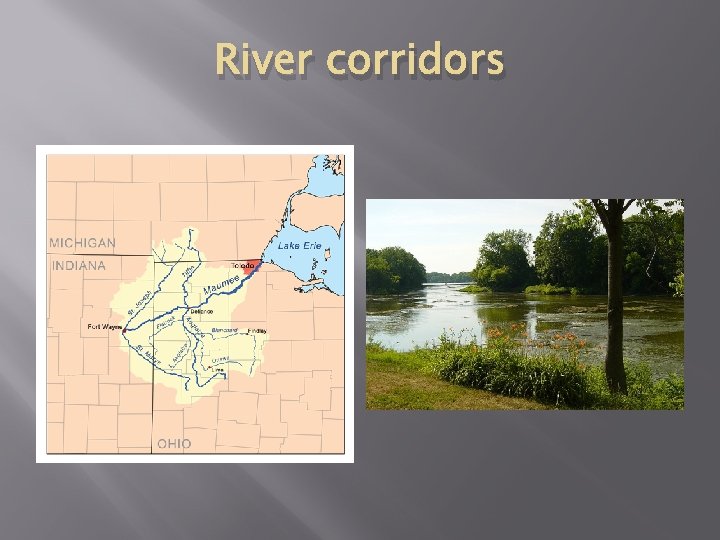 River corridors 