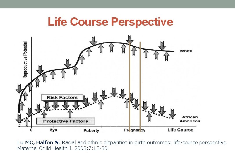 Life Course Perspective Lu MC, Halfon N. Racial and ethnic disparities in birth outcomes: