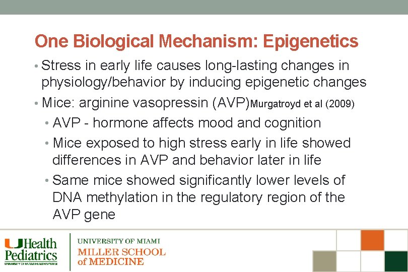 One Biological Mechanism: Epigenetics • Stress in early life causes long-lasting changes in physiology/behavior