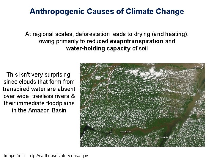 Anthropogenic Causes of Climate Change At regional scales, deforestation leads to drying (and heating),