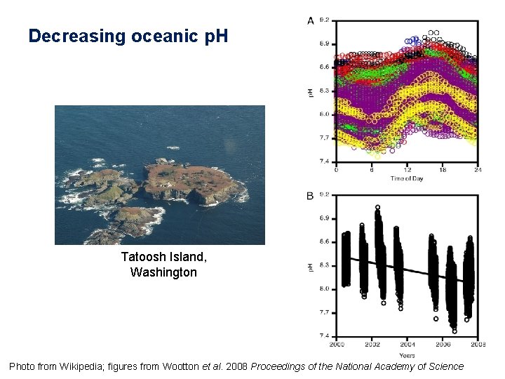 Decreasing oceanic p. H Tatoosh Island, Washington Photo from Wikipedia; figures from Wootton et