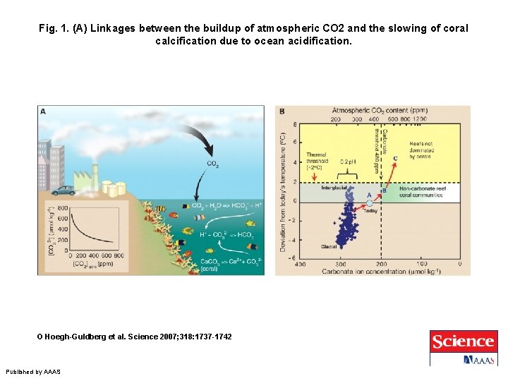 Fig. 1. (A) Linkages between the buildup of atmospheric CO 2 and the slowing
