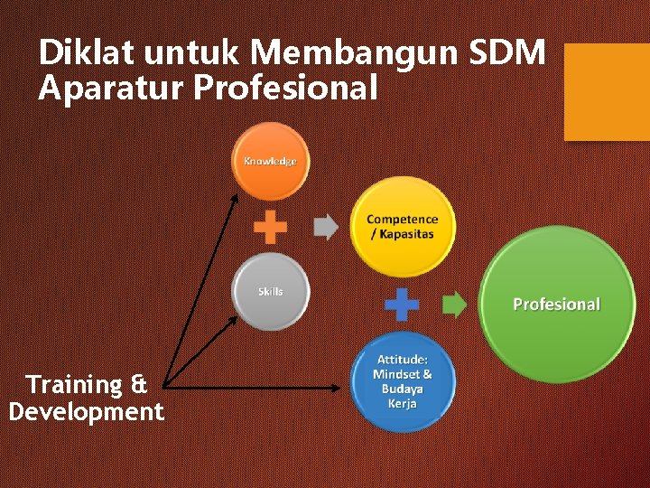 Diklat untuk Membangun SDM Aparatur Profesional Training & Development 